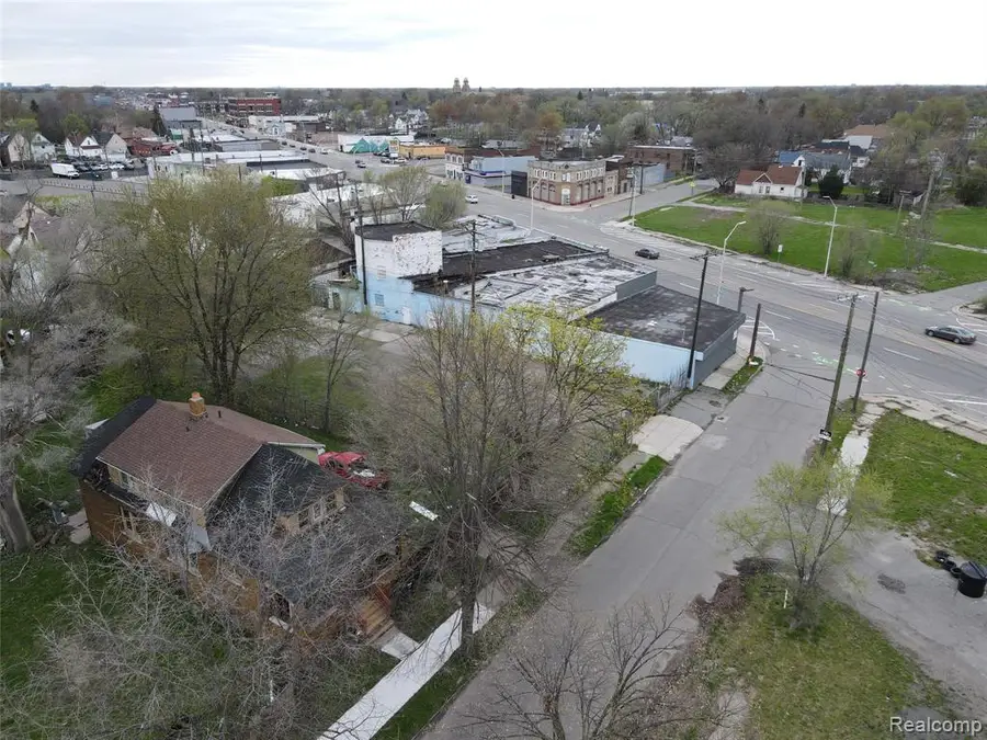 3420 Goldner, Detroit, MI  - Image #3