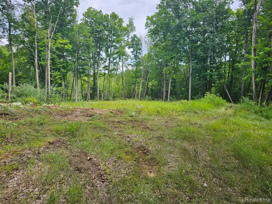 8600 Eagle, Holly, MI  - Image #2