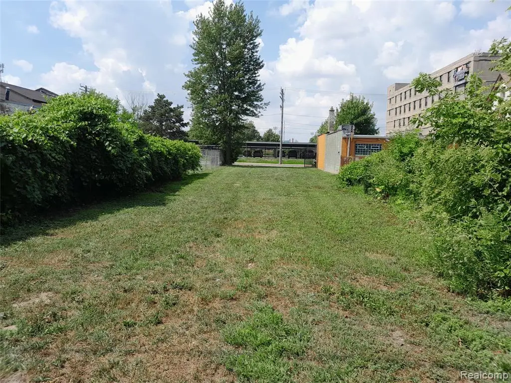 534 Bellevue, Detroit, MI  - Image #1