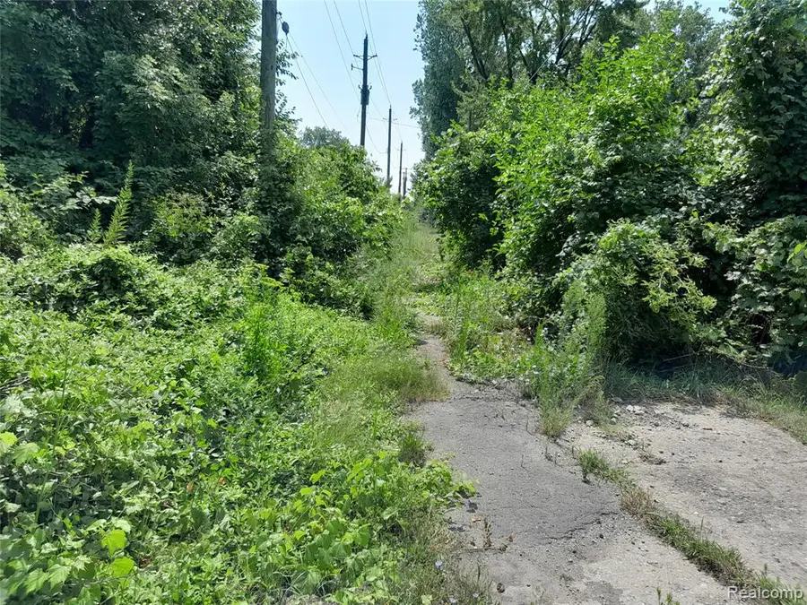 534 Bellevue, Detroit, MI  - Image #3