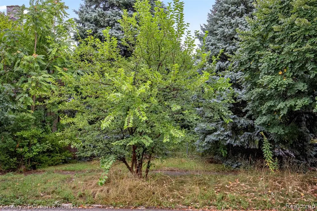 411 King, Detroit, MI  - Image #1