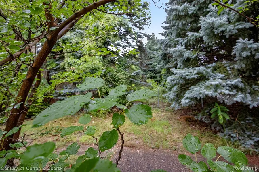 411 King, Detroit, MI  - Image #2