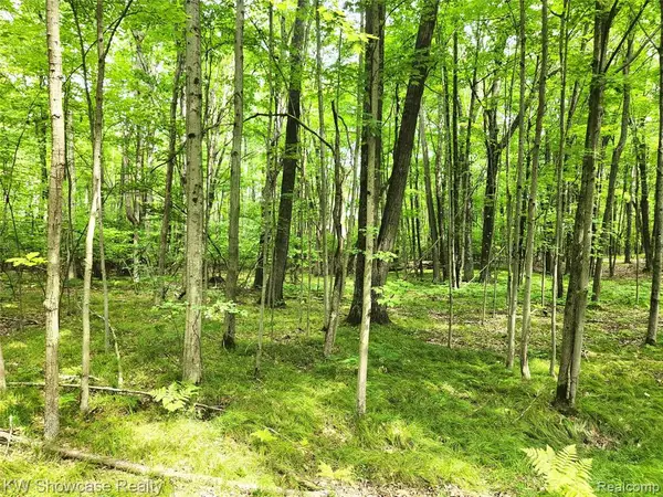 000 Red Fox Run, Lincoln, MI 48622