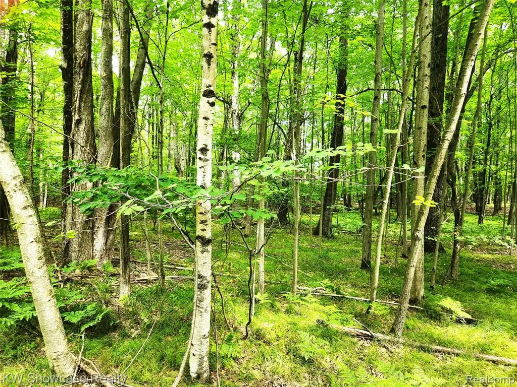 000 Red Fox Run, Farwell, MI 48622 - #1