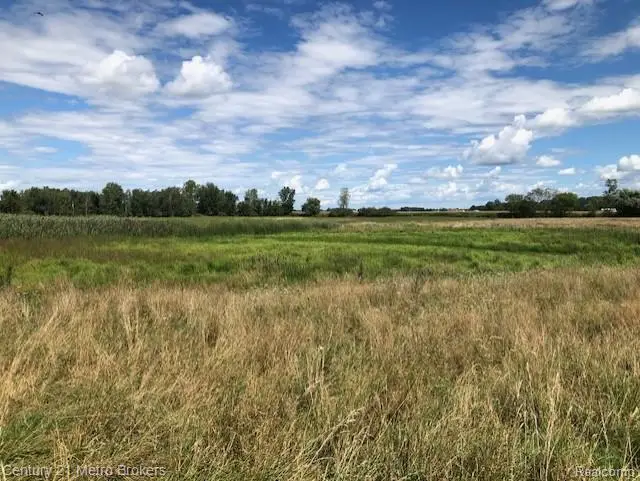 0 Murray, Brown City, MI  - Image #1