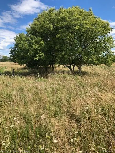 0 Murray, Brown City, MI  - Image #2