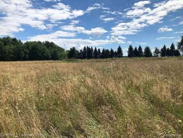 0 Murray, Brown City, MI  - Image #3