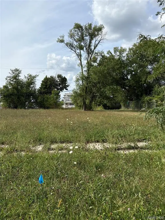 82 W Buena Vista, Highland Park, MI 