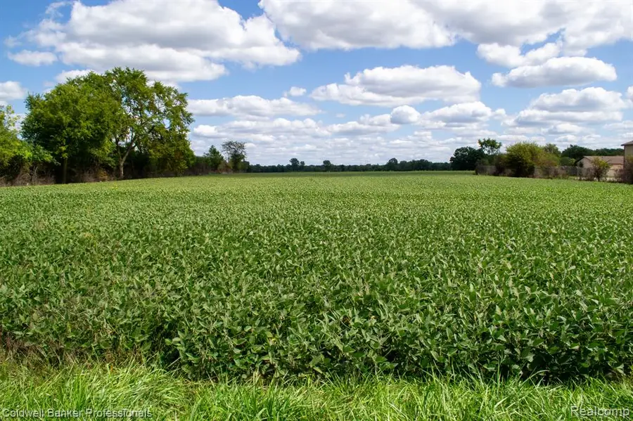 000 Clio Rd. Clio, Mount Morris, MI 48458 - Image #2