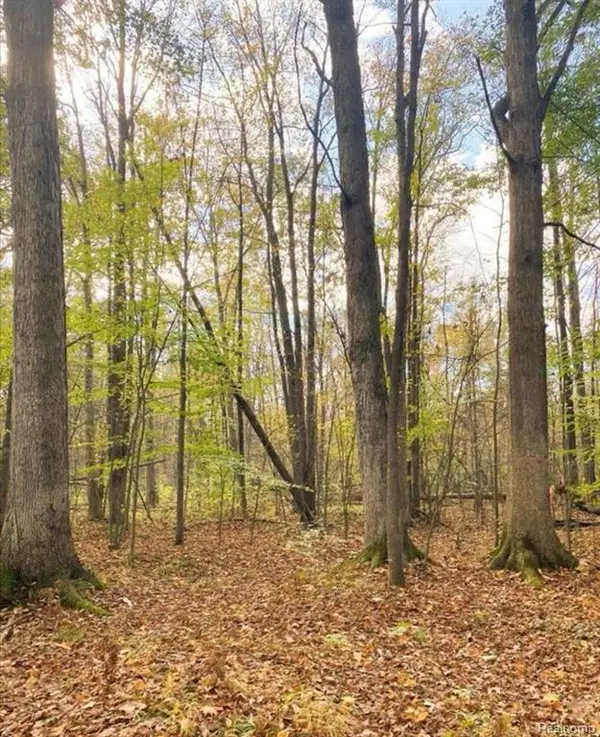 9473 E Broomfield, Update, MI 