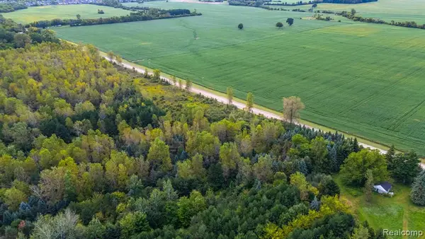 10065 Cherry Hill, Superior, MI 