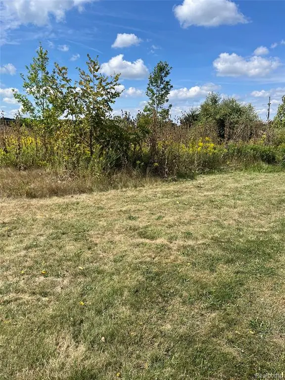 Vacant Land Grand River Avenue, Fowlerville, MI 48836 - Image #3