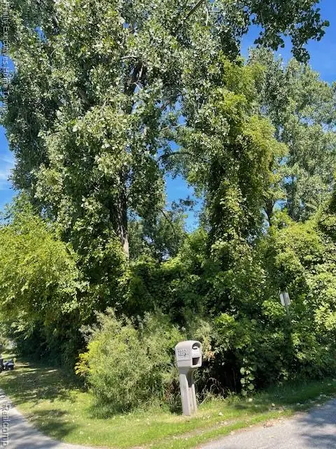 00 Campau, Port Huron, MI 48060 - #1