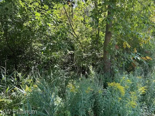 V/L Allen Rd., Kimball, MI 48074 - #3