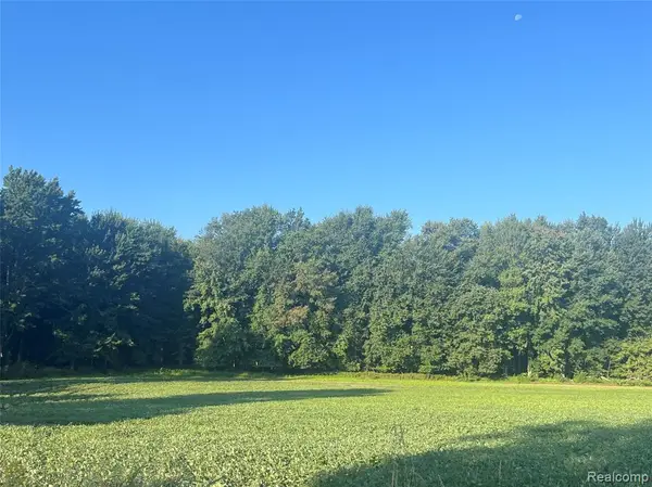 01 Howland, Almont, MI 