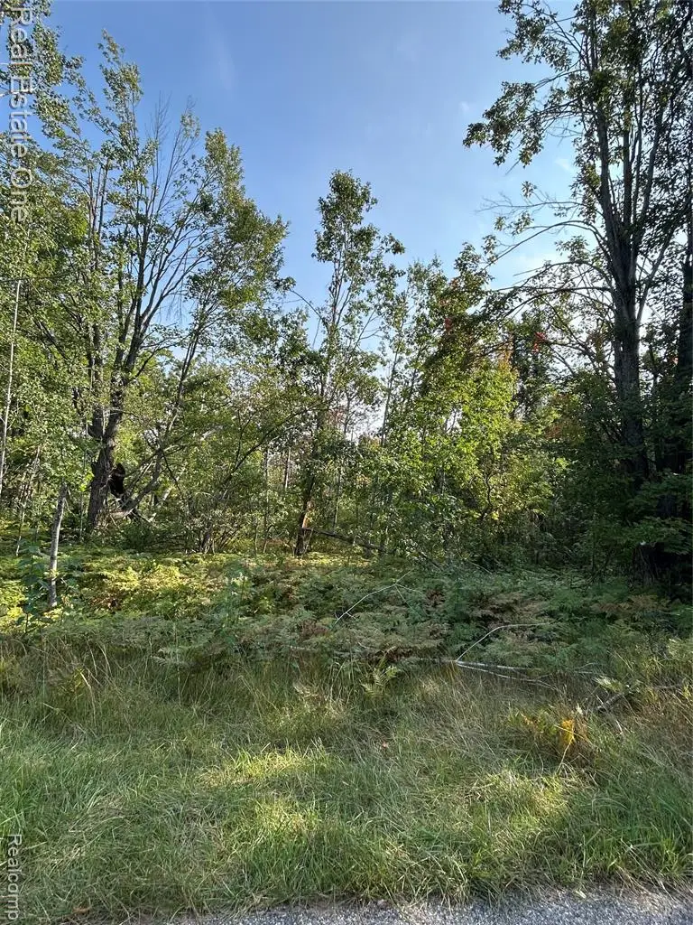 LOTS 1818 and 1 Falcon, Novi, MI 48375 - Image #3