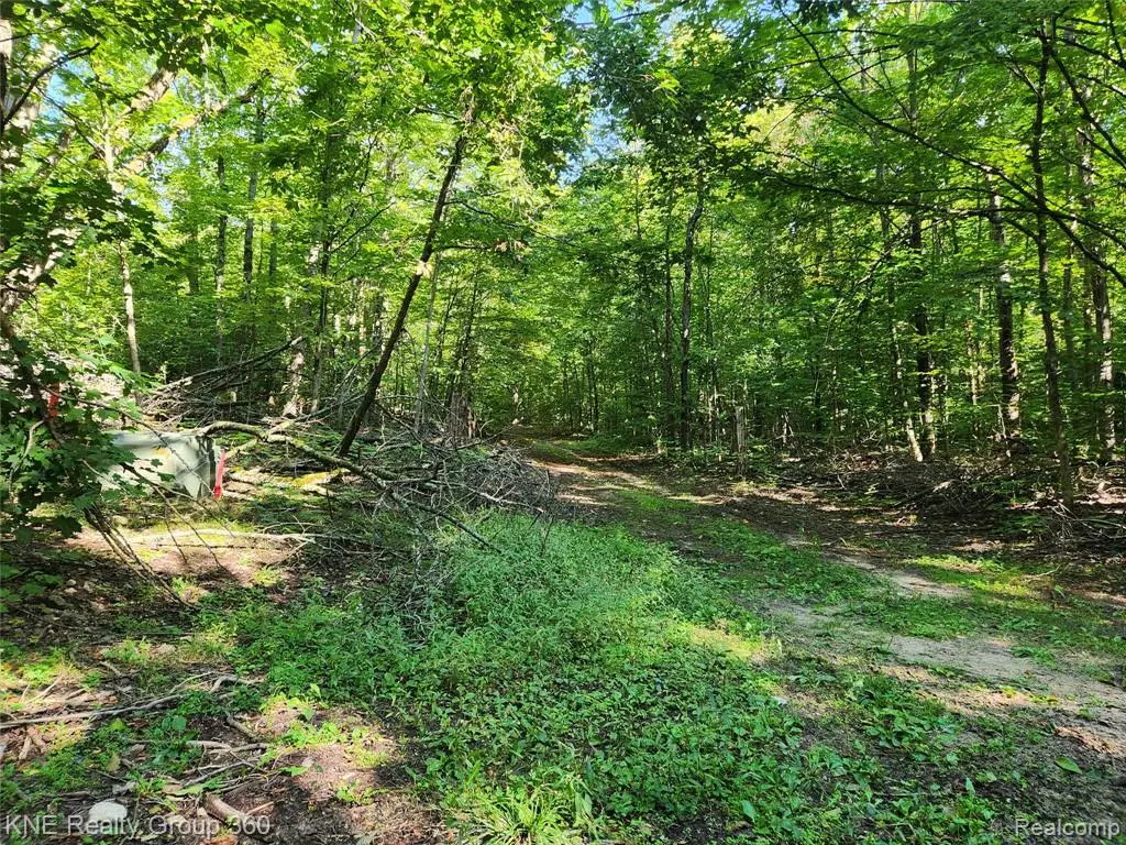 0 44.852916/-84.742739, Frederic, MI 49733 - #1