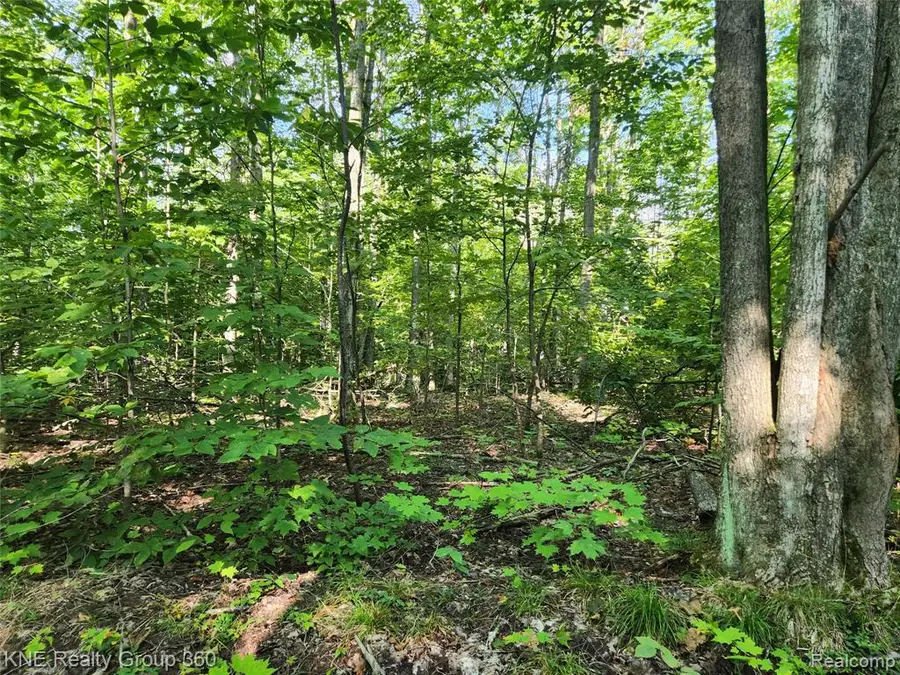 0 44.852916/-84.742739, Frederic, MI 49733 - #2