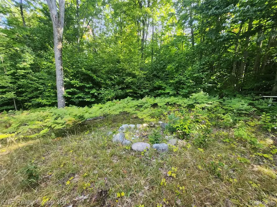 0 44.852916/-84.742739, Frederic, MI 49733 - #3