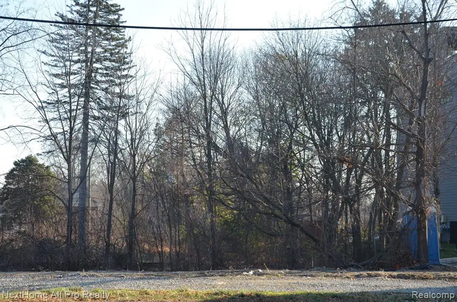 328 N Center, Northville, MI  - Image #3