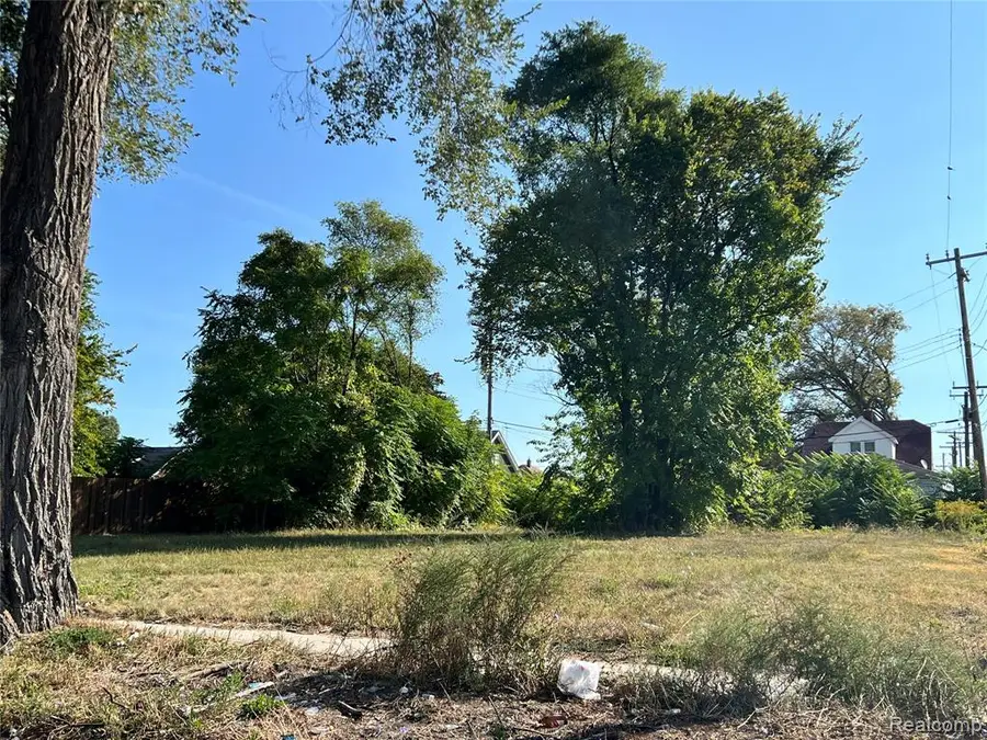 12834 Dwyer, Detroit, MI  - Image #2