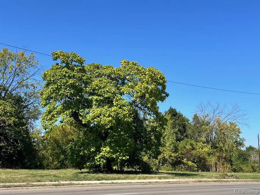 2943 E Vernor, Detroit, MI 48207 - #3