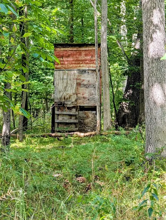 0 S Maywood, Ashley, MI 48806