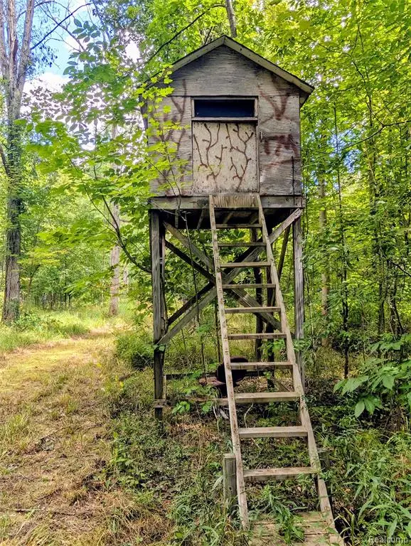 0 S Maywood, Ashley, MI 48806 - #2