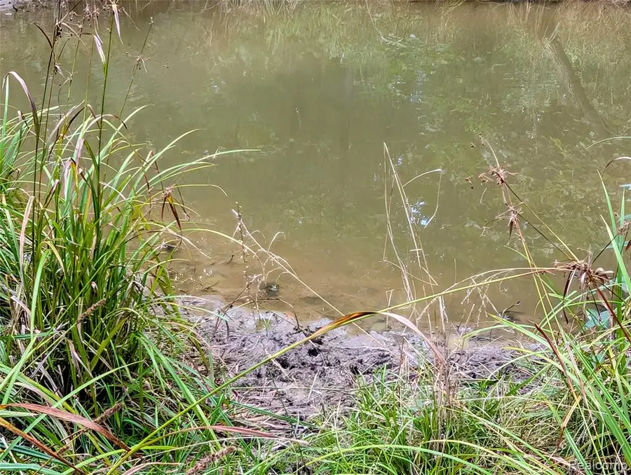 0 S Maywood, Ashley, MI 48806 - #3