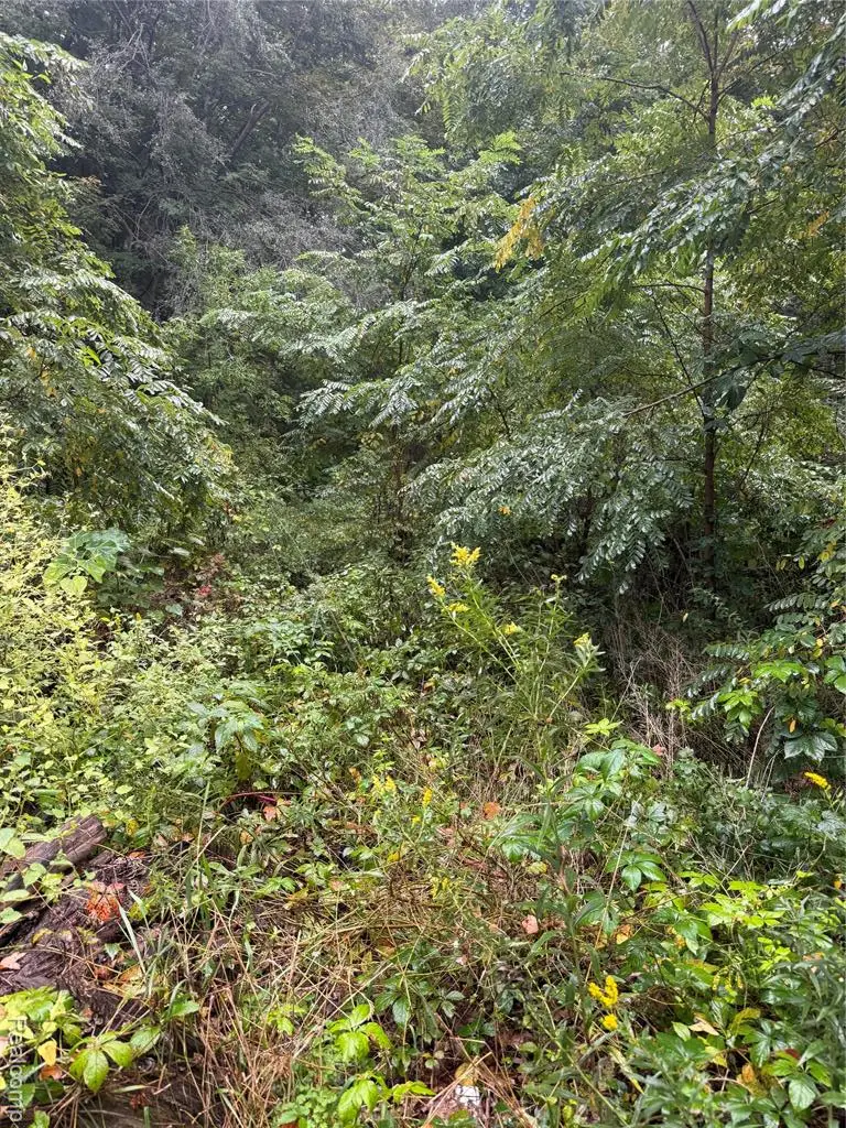 65 S Elm Grove, Lapeer, MI  - Image #2