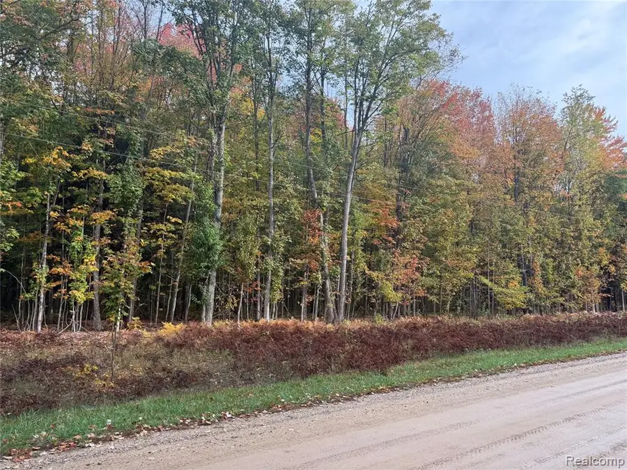 207 Wallace, Rapid River, MI 49612 - Image #3