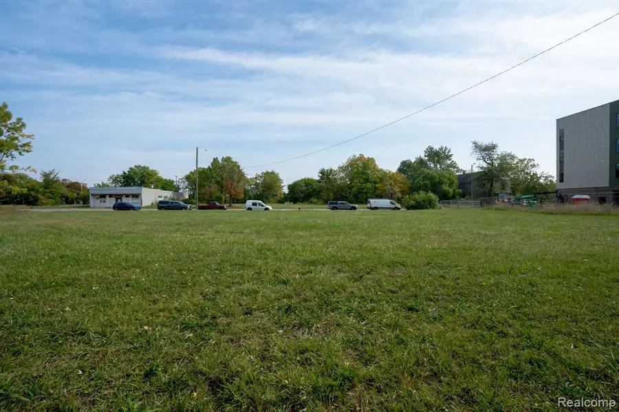 3371 14th, Detroit, MI 48208 - #3