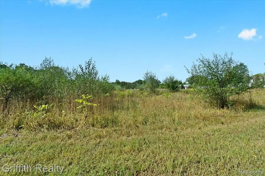 9800 Beeman, Chelsea, MI  - #2