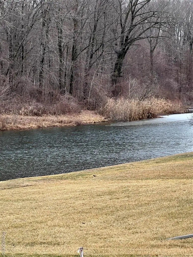 42466 Colonial, Belleville, MI 48111 - #3