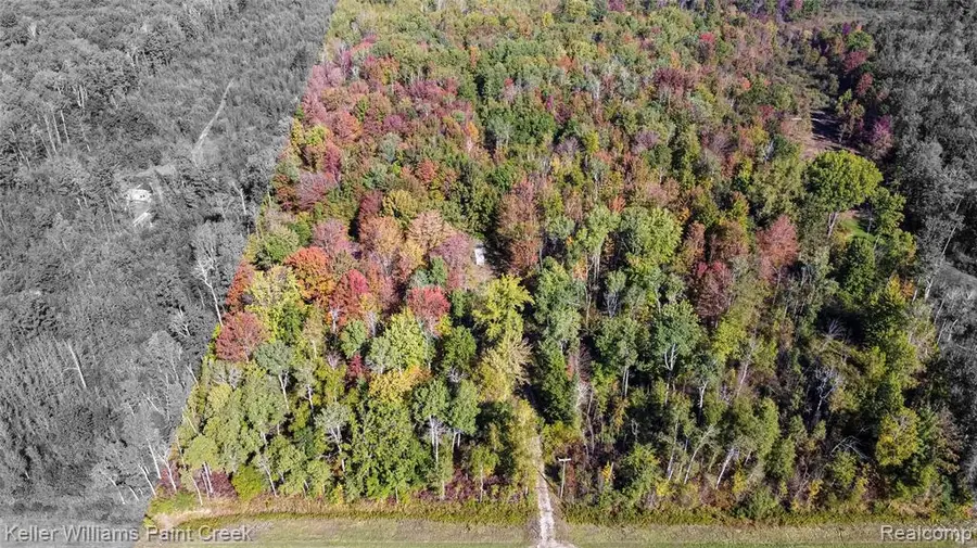 905 E M 61, Gladwin, MI 48624 - #3