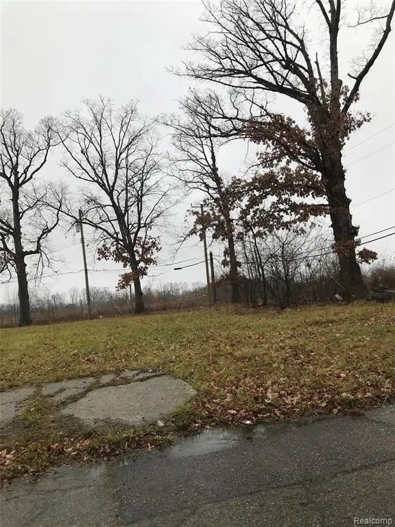 19446 Troy Pl, Detroit, MI 48203 - #1