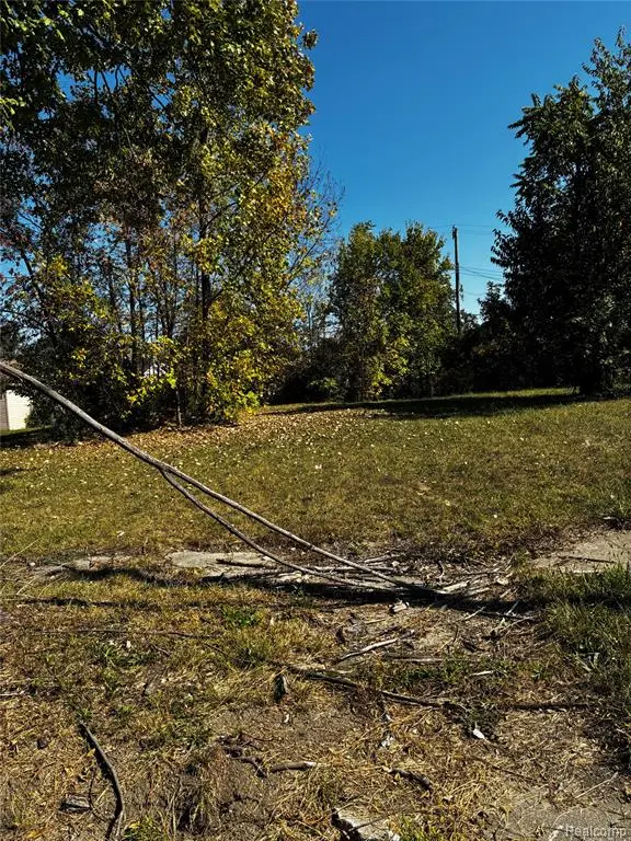 19436 Troy Pl, Detroit, MI  - Image #1