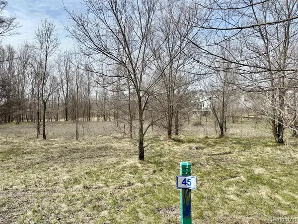 4448 Ford, Linden, MI 