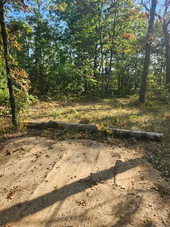 00 Yale, Baldwin, MI 49304 - Image #3