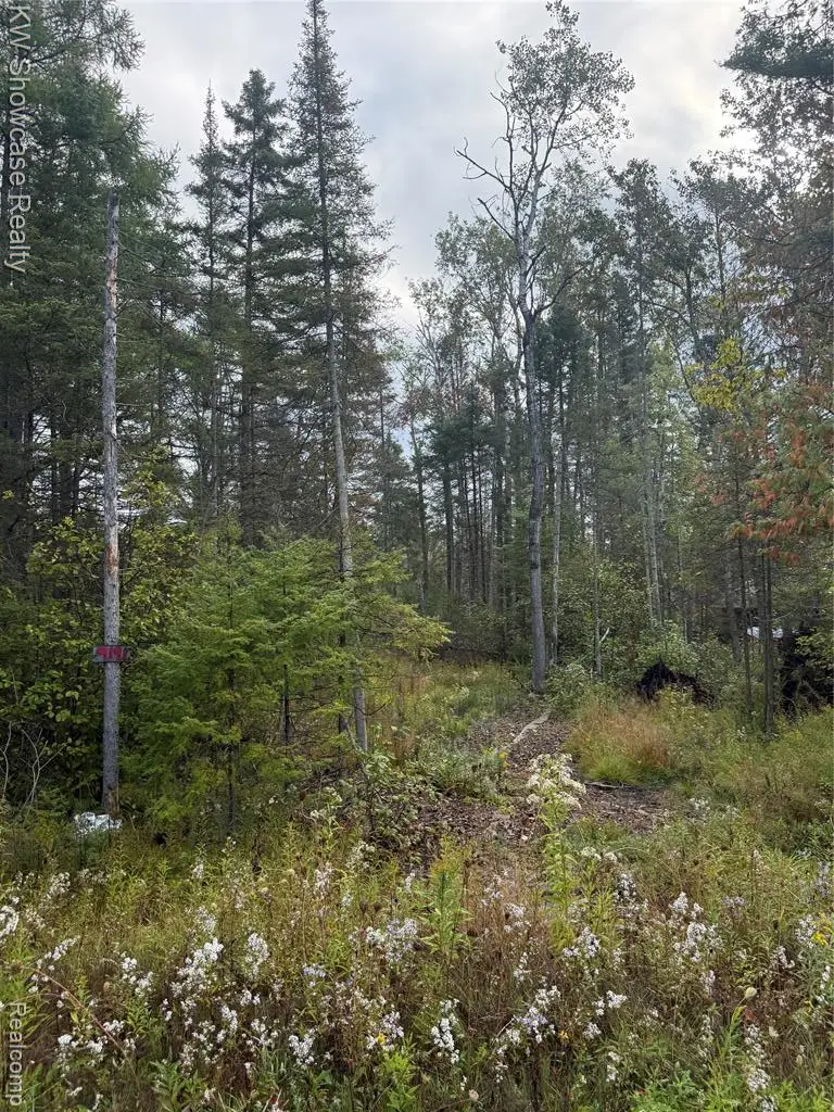 9191 M 33, Atlanta, MI  - Image #1