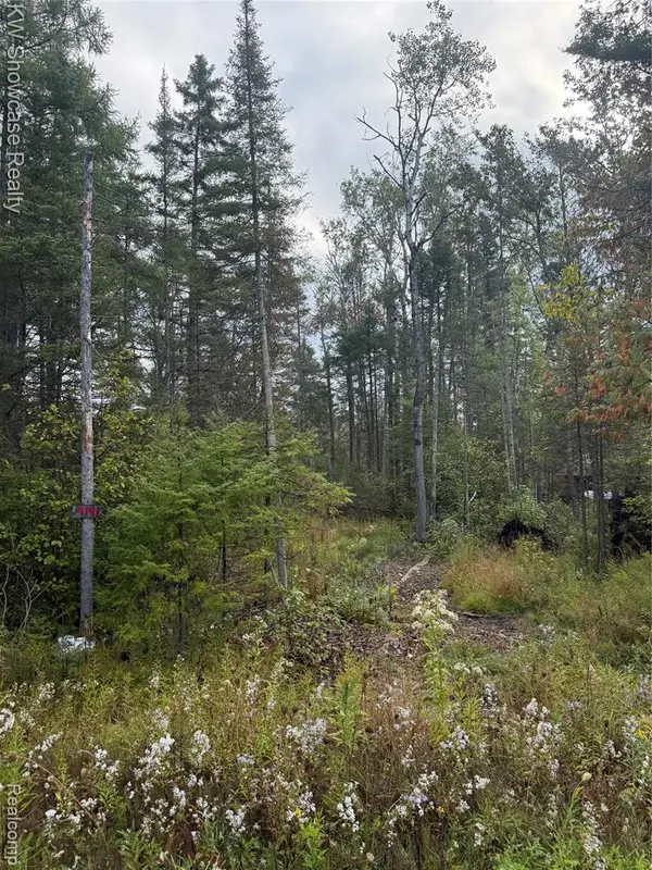 9191 M 33, Atlanta, MI 