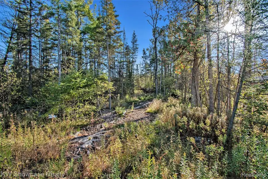 9191 M 33, Atlanta, MI  - Image #2