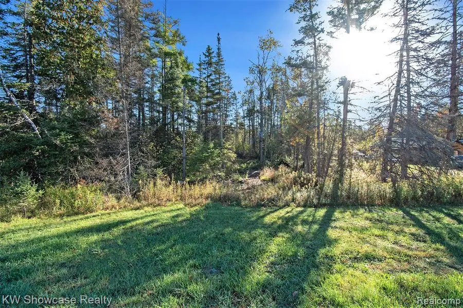 9191 M 33, Atlanta, MI  - Image #3