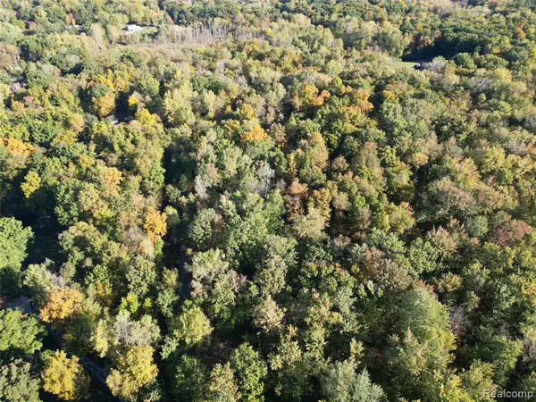 LOT #2 & #4 Deadwood, Brighton, MI 48114