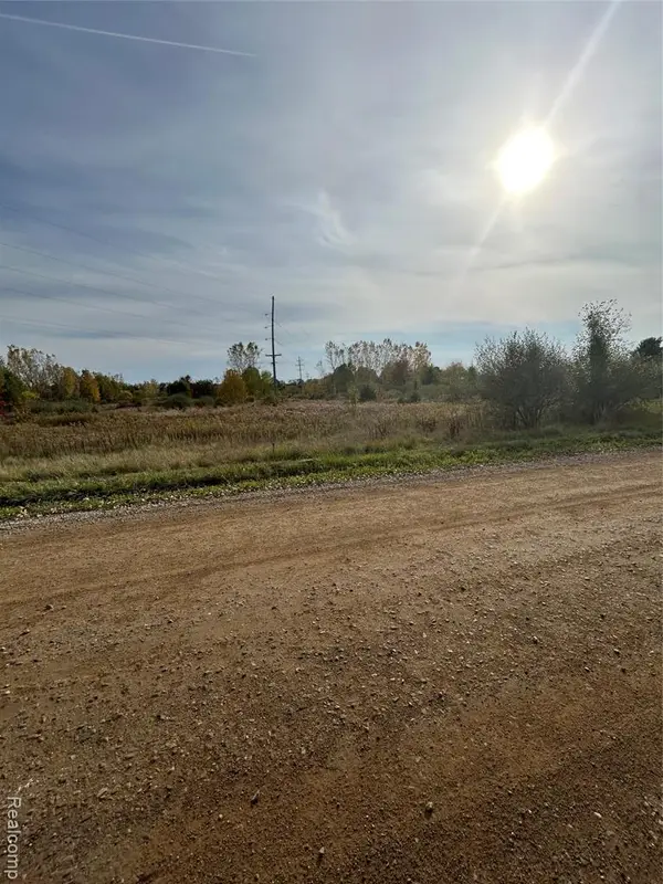 TBD E Brooks Rd N Of Us 69/w Of M13, Lennon, MI 48449