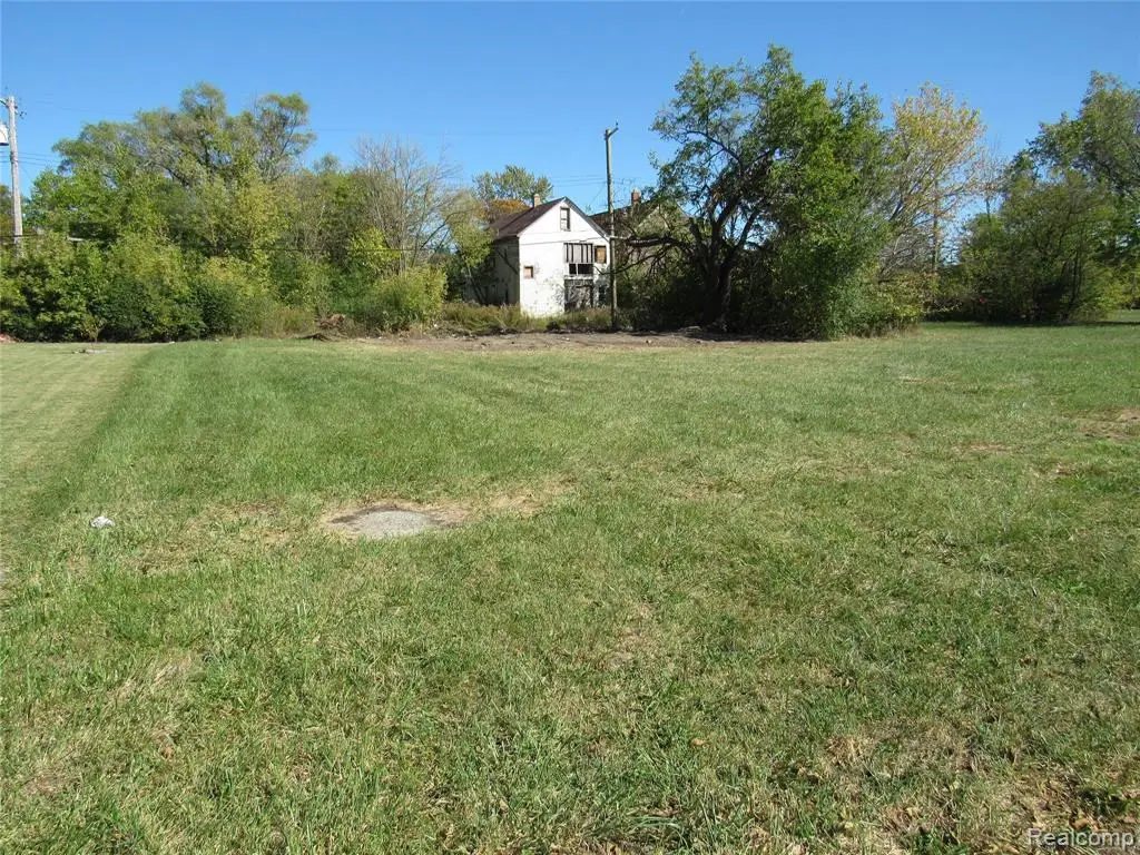 5538 Mitchell, Detroit, MI  - Image #1