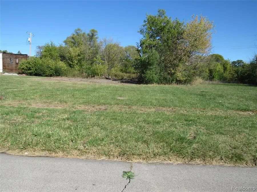 5538 Mitchell, Detroit, MI  - Image #3