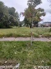 2208 Hibbard, Detroit, MI 48214 - #2