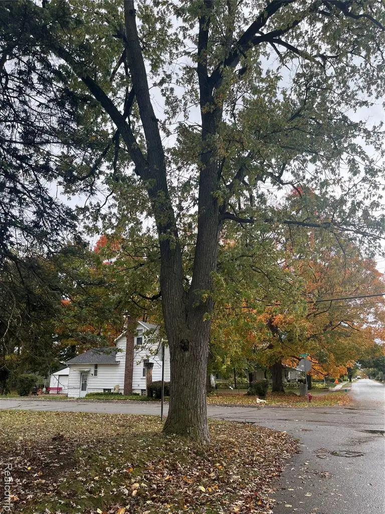 19412 Gaylord, Redford, MI  - Image #3