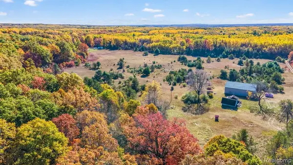 17760 Flarity, Brethren, MI 49619